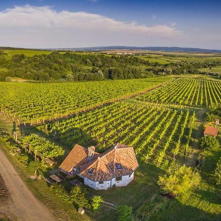 Robinson Vila Kitokret Kutjevo Exterior foto