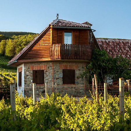 Robinson Vila Kitokret Kutjevo Exterior foto