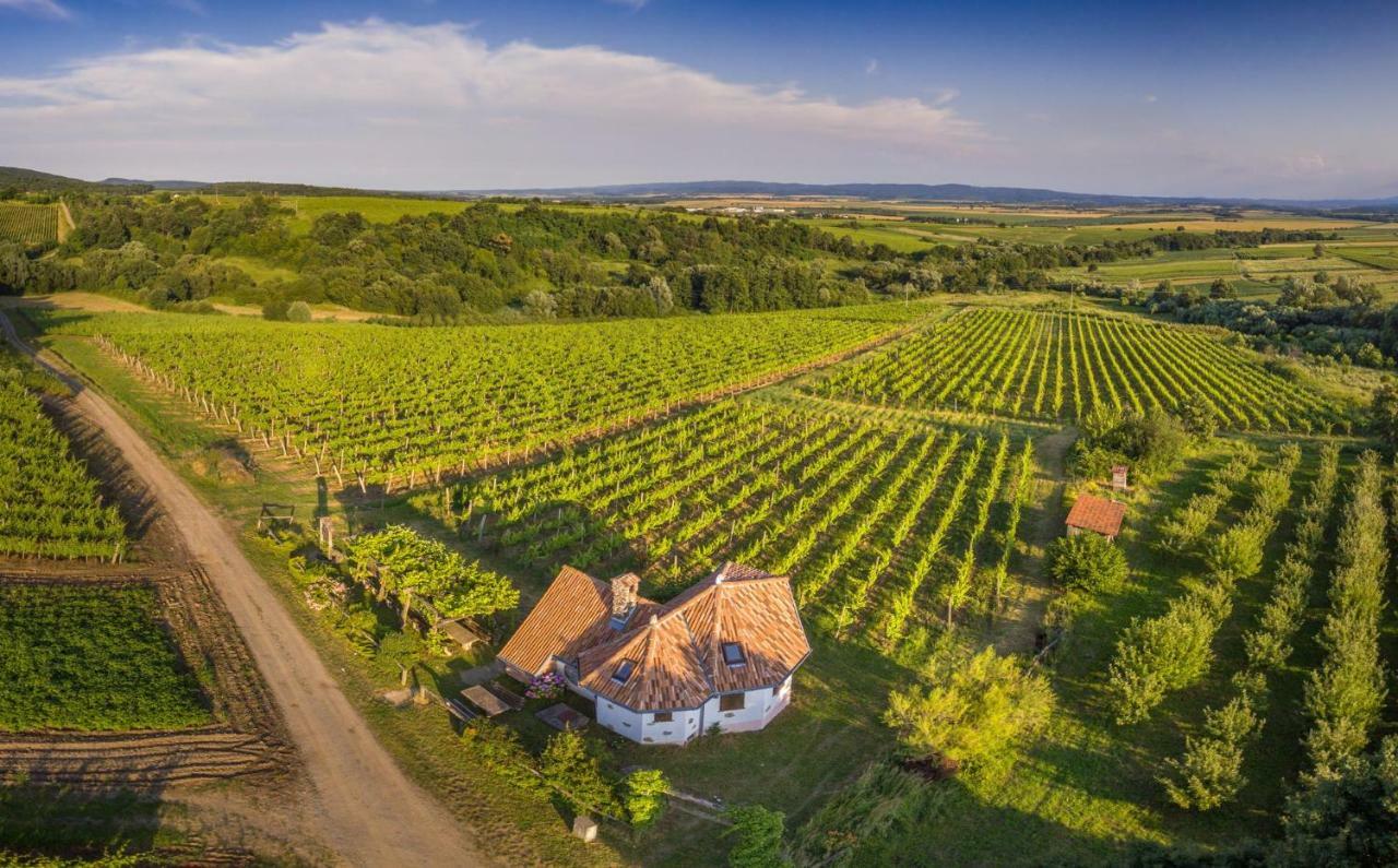 Robinson Vila Kitokret Kutjevo Exterior foto