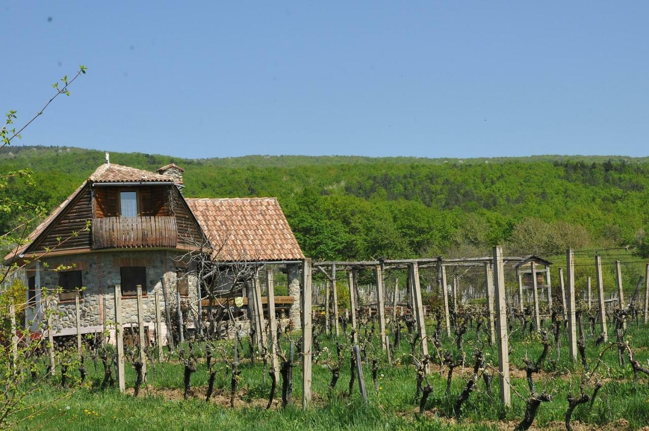 Robinson Vila Kitokret Kutjevo Exterior foto